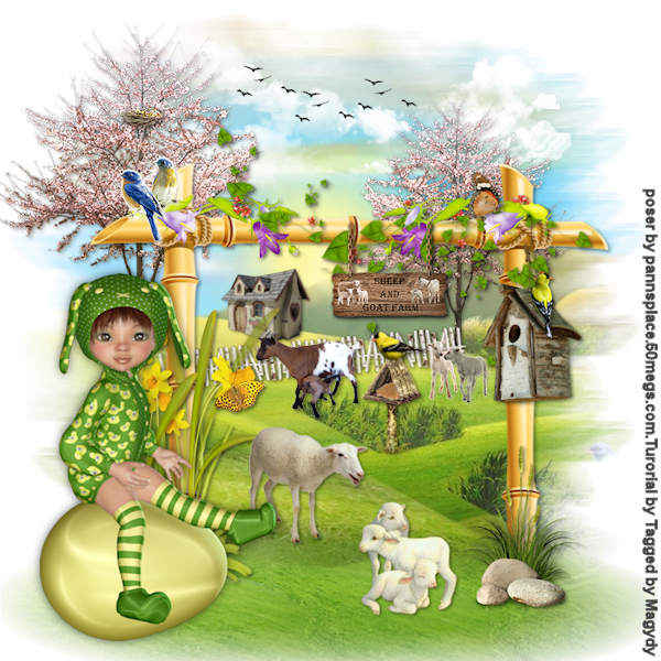 psp lessen mistys-creations.nl
